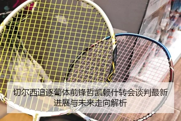 切尔西追逐葡体前锋哲凯赖什转会谈判最新进展与未来走向解析